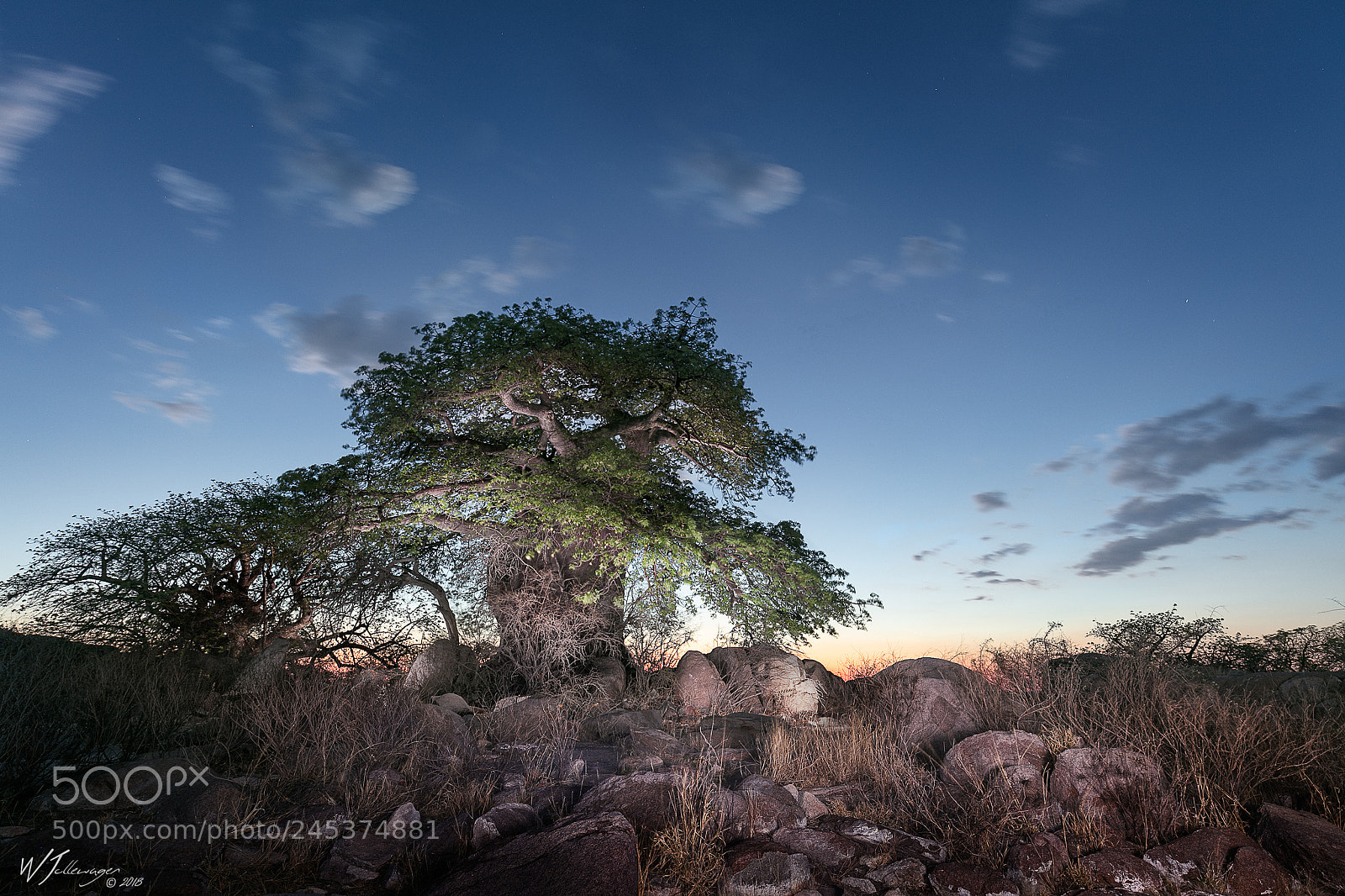 Canon EOS 5DS R sample photo. Give it some light.. photography