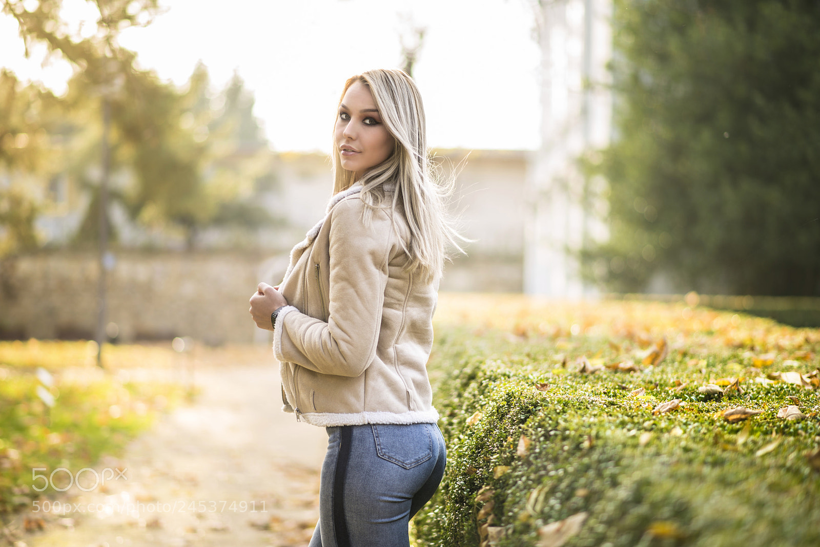 Nikon D610 sample photo. Sun in fall photography