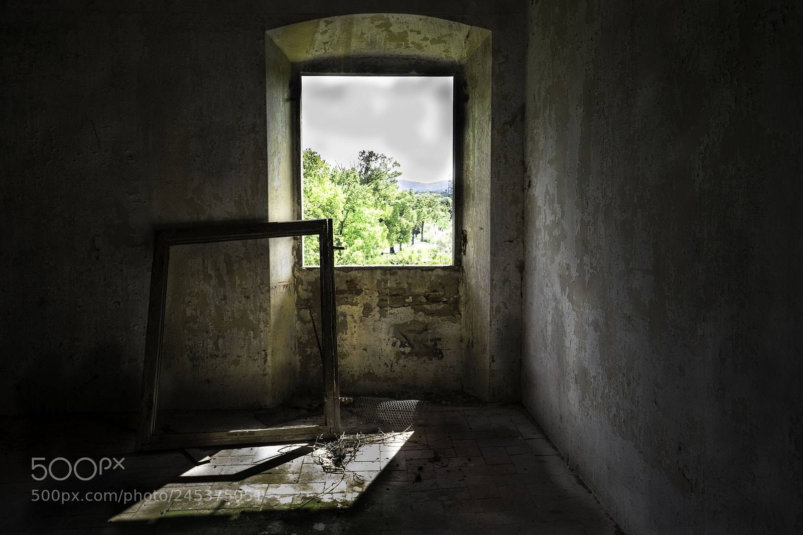 Sony a7 II sample photo. Cascine tavola finestra con photography