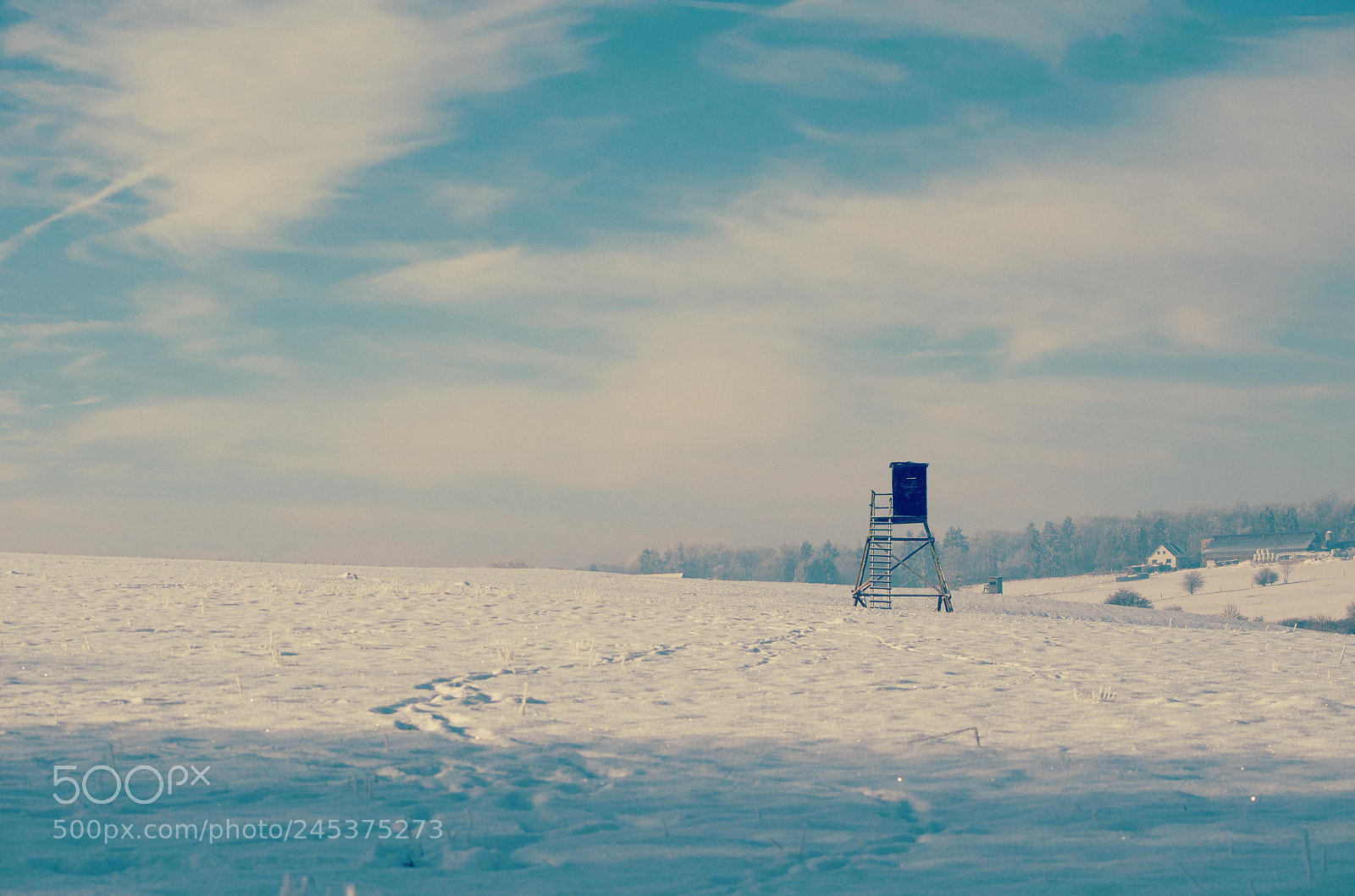 Nikon D5100 sample photo. - 15 degrees photography