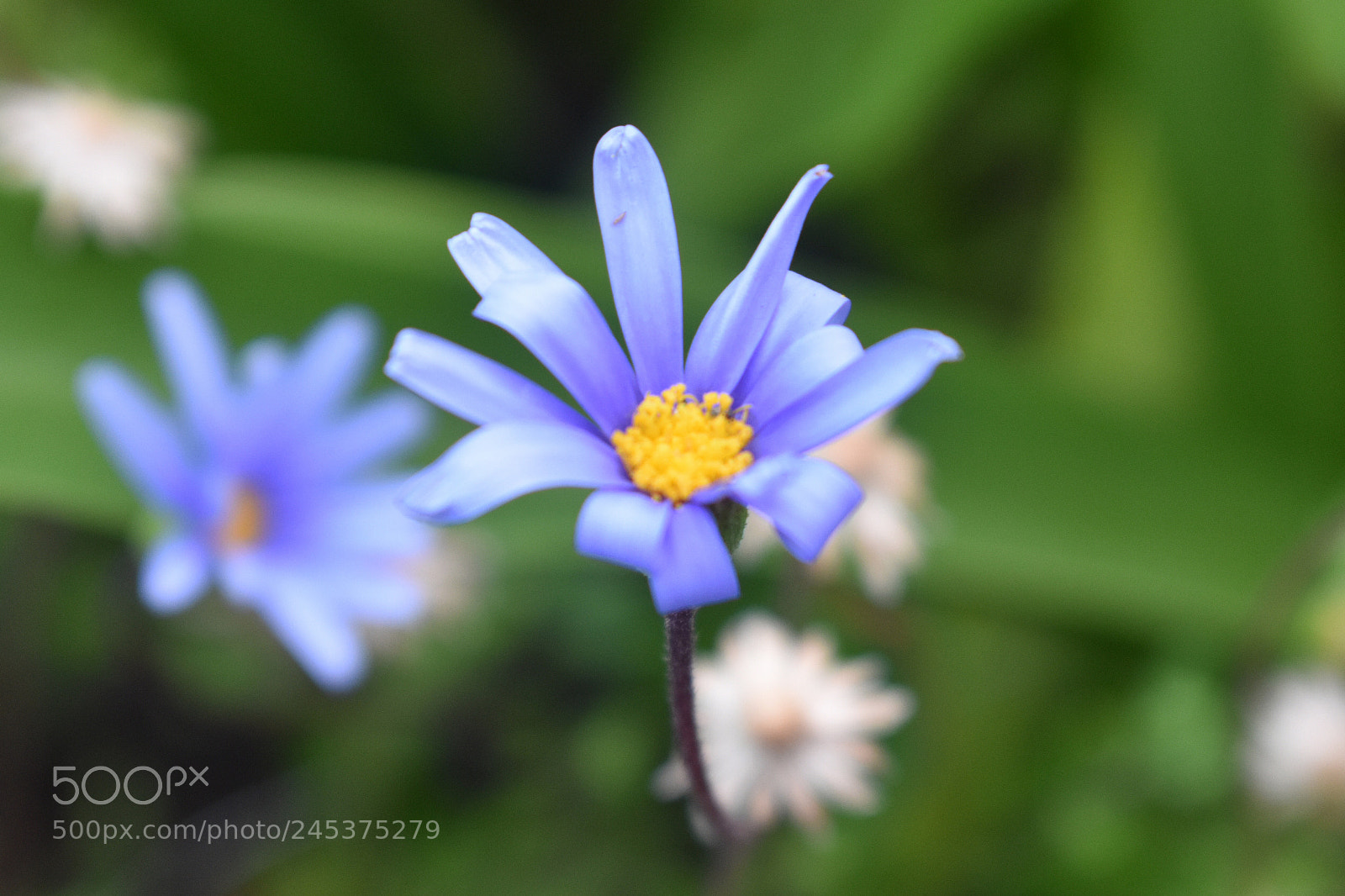 Nikon D3400 sample photo. Cupping beauty photography