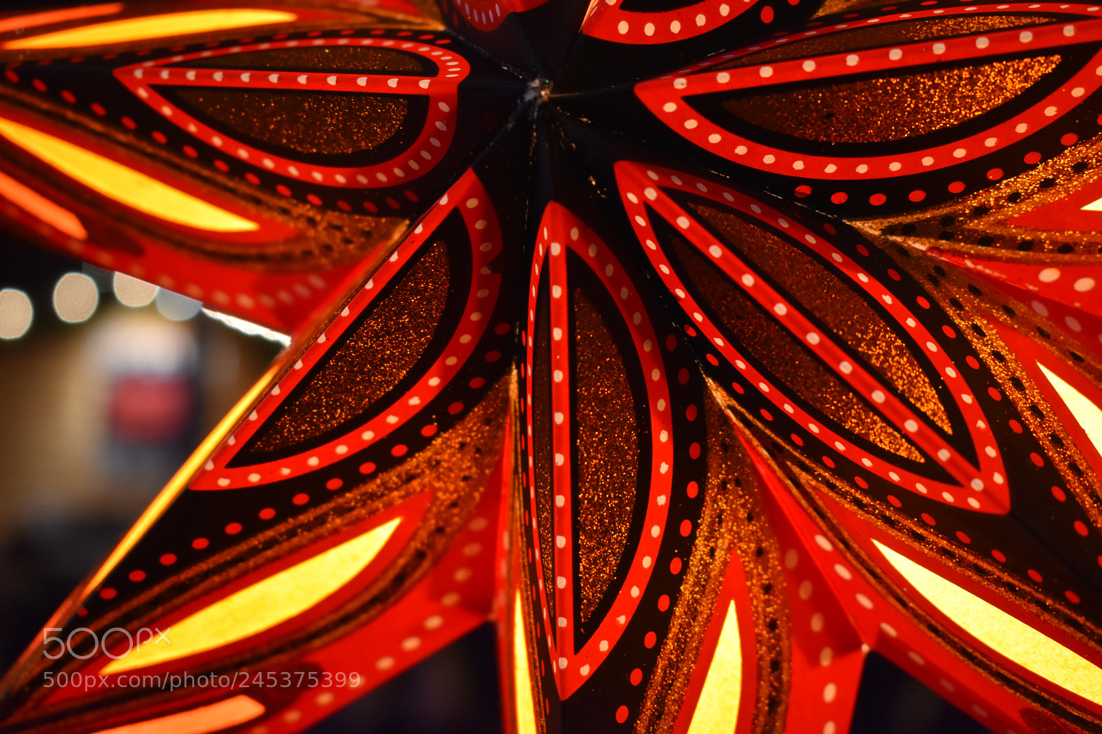 Nikon D5600 sample photo. Christmas star lamp photography