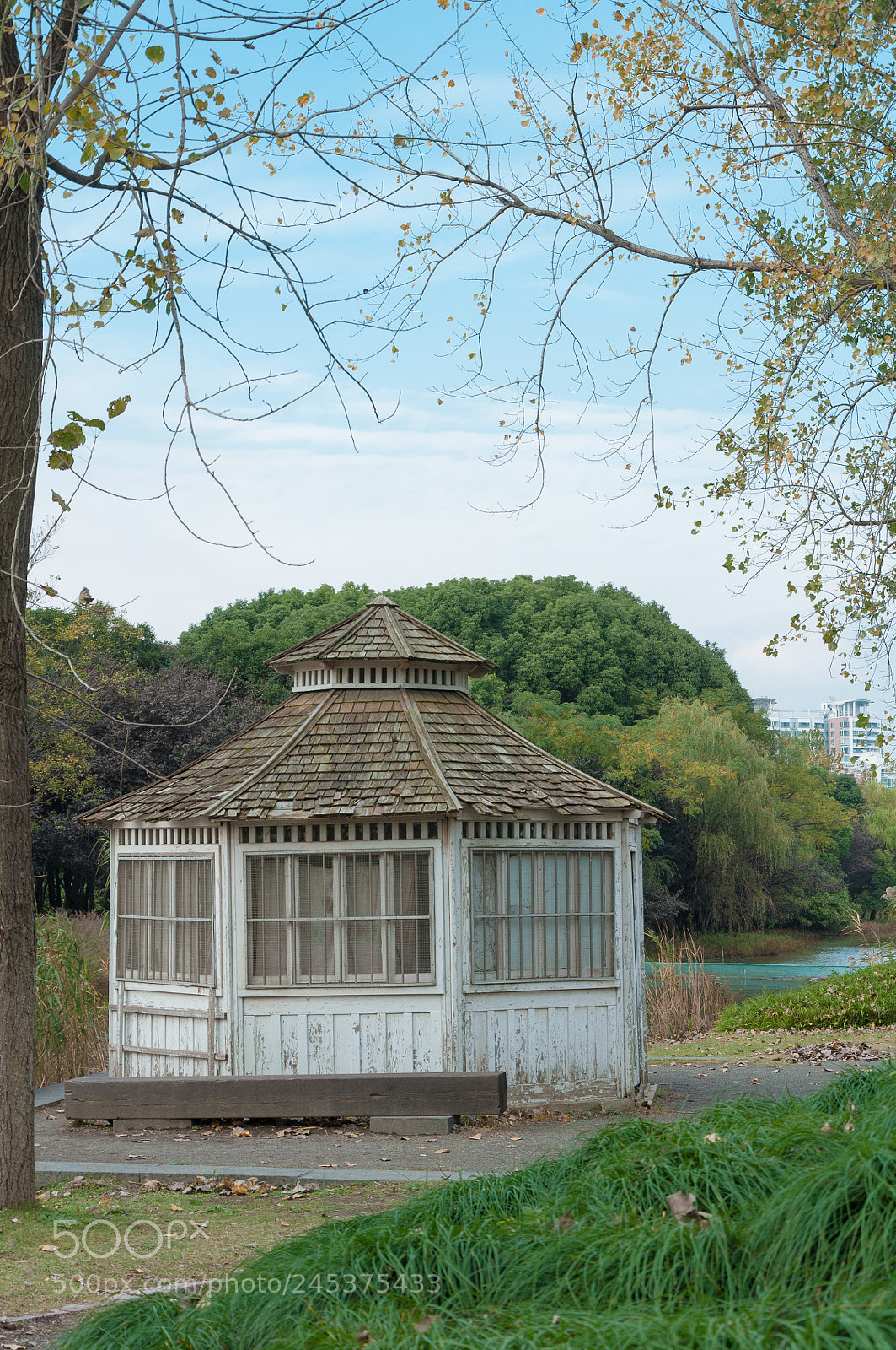 Nikon D90 sample photo. Hut in park photography