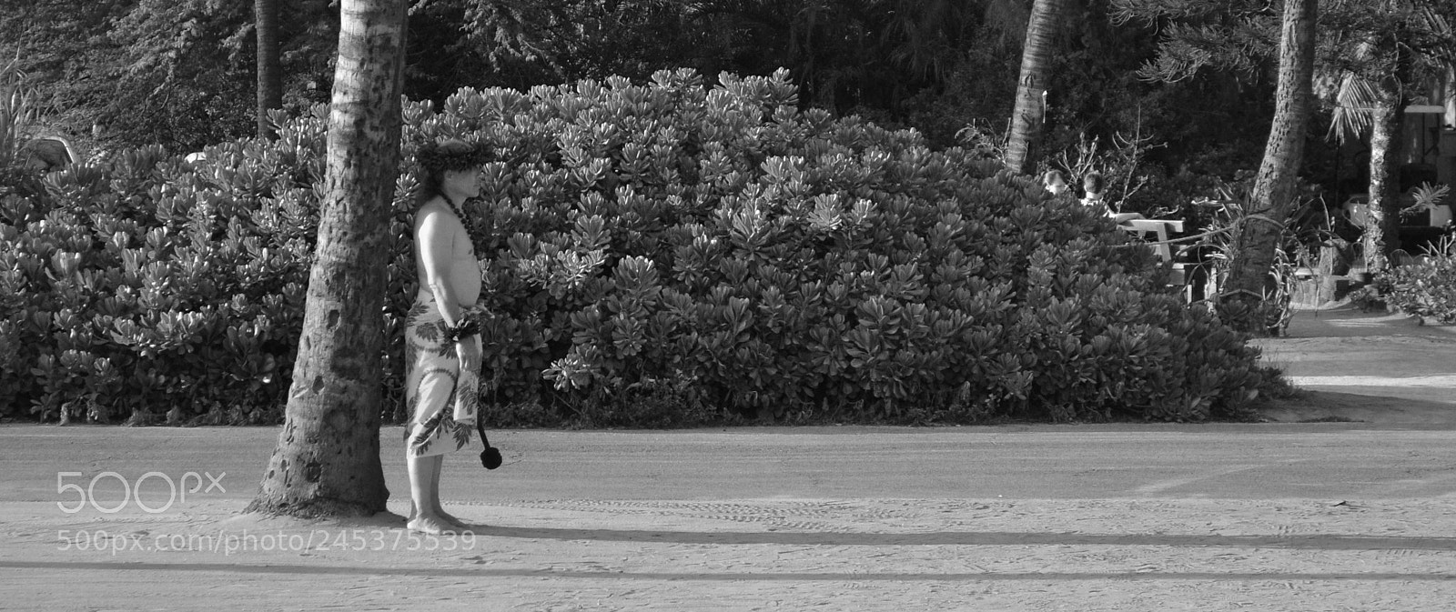 Nikon D3100 sample photo. Copy photography