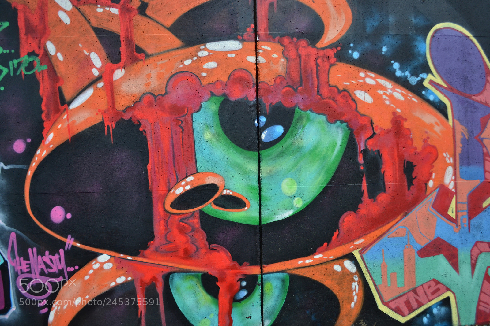 Nikon D3100 sample photo. Street wall photography