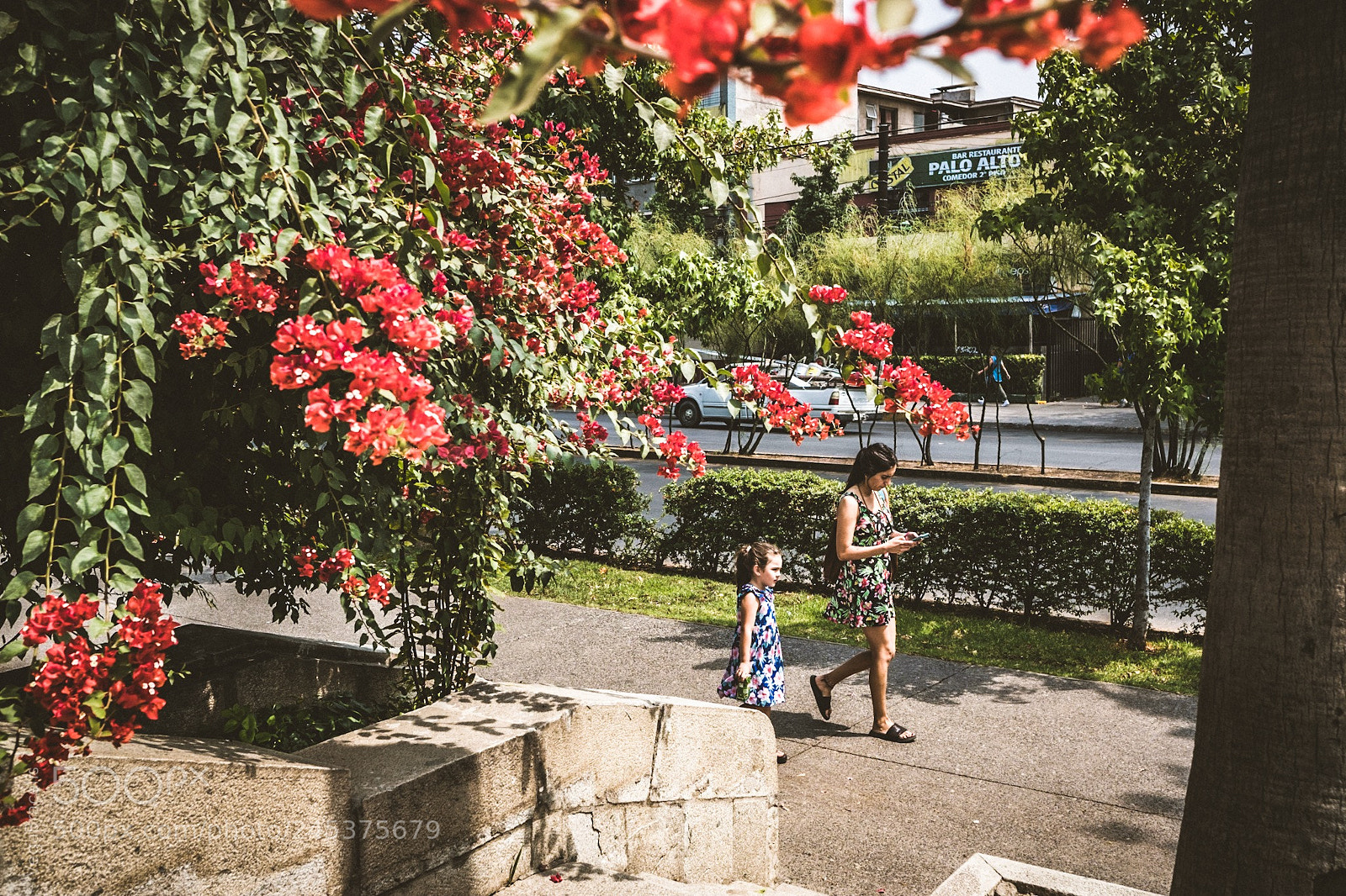 Fujifilm X-T2 sample photo. Flowers photography