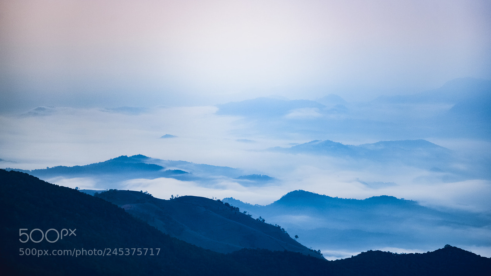 Nikon D850 sample photo. Viewpoint of doi inthanon photography