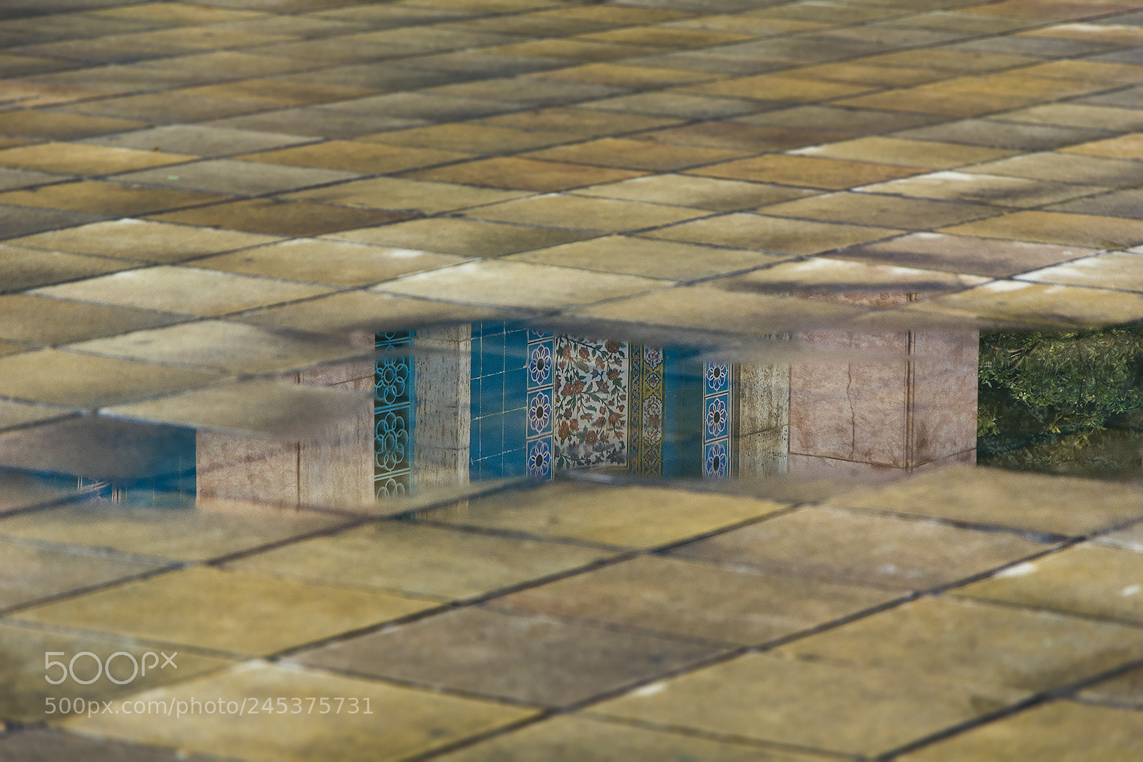 Nikon D7100 sample photo. The blue rain photography