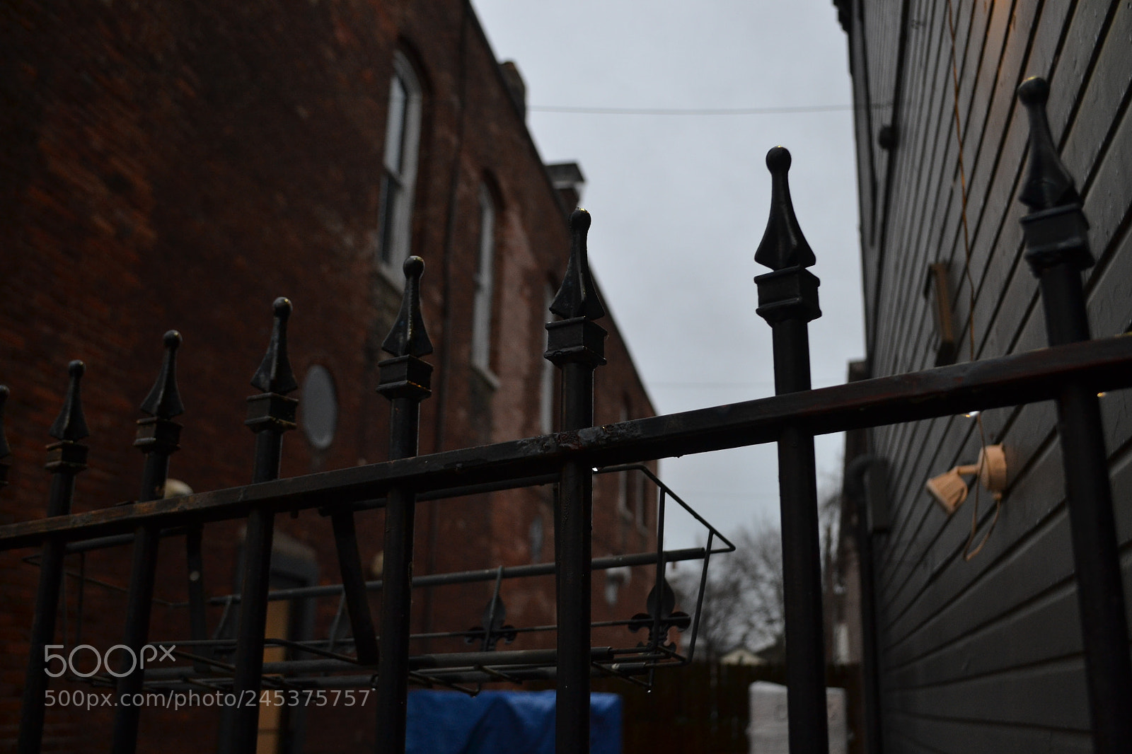 Nikon D3100 sample photo. Untitled photography