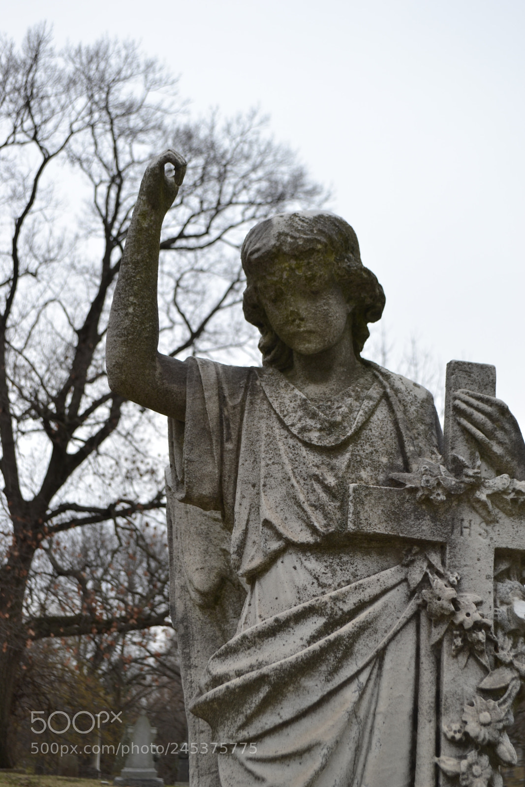 Nikon D3100 sample photo. Watch over me photography