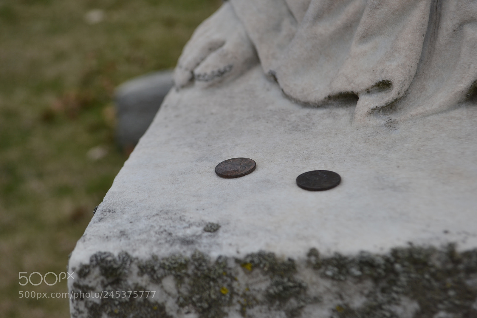 Nikon D3100 sample photo. Penny for your thoughts photography