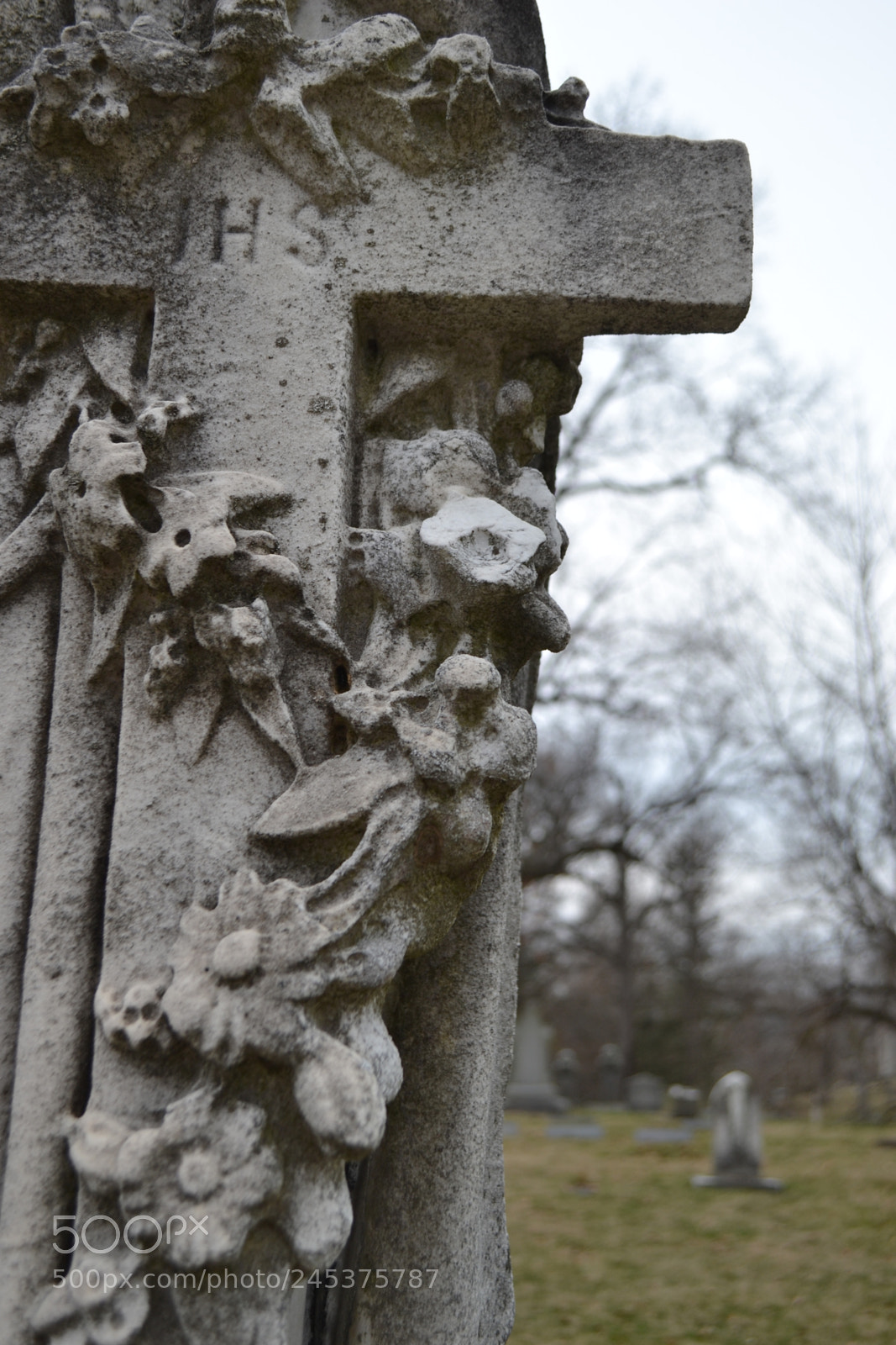 Nikon D3100 sample photo. Rest in peace photography