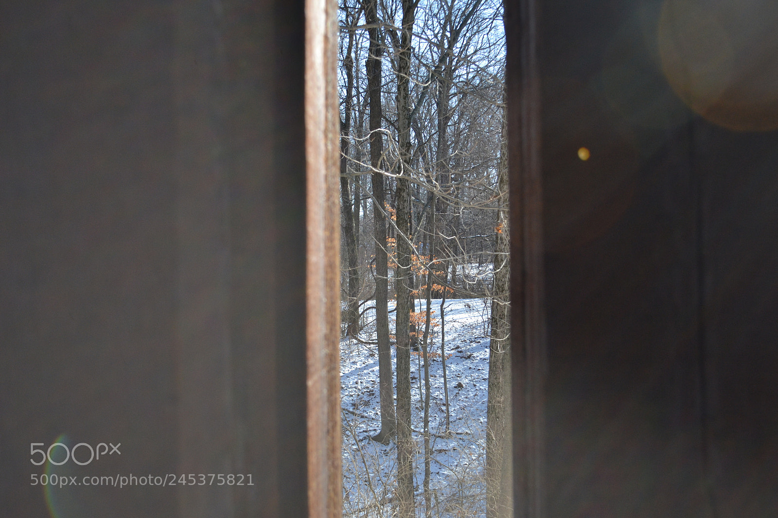 Nikon D3100 sample photo. See you on the photography