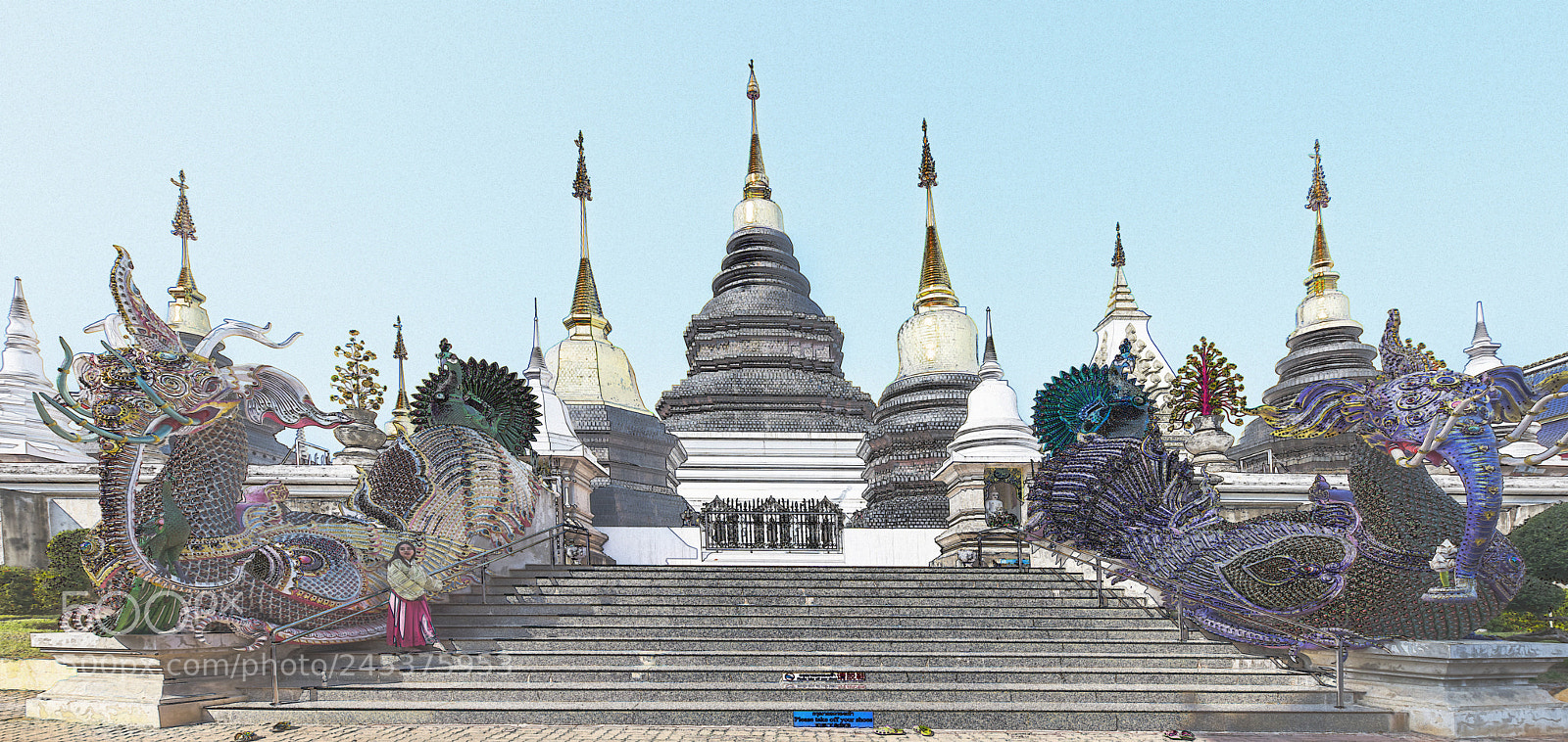 Nikon D850 sample photo. Image photography