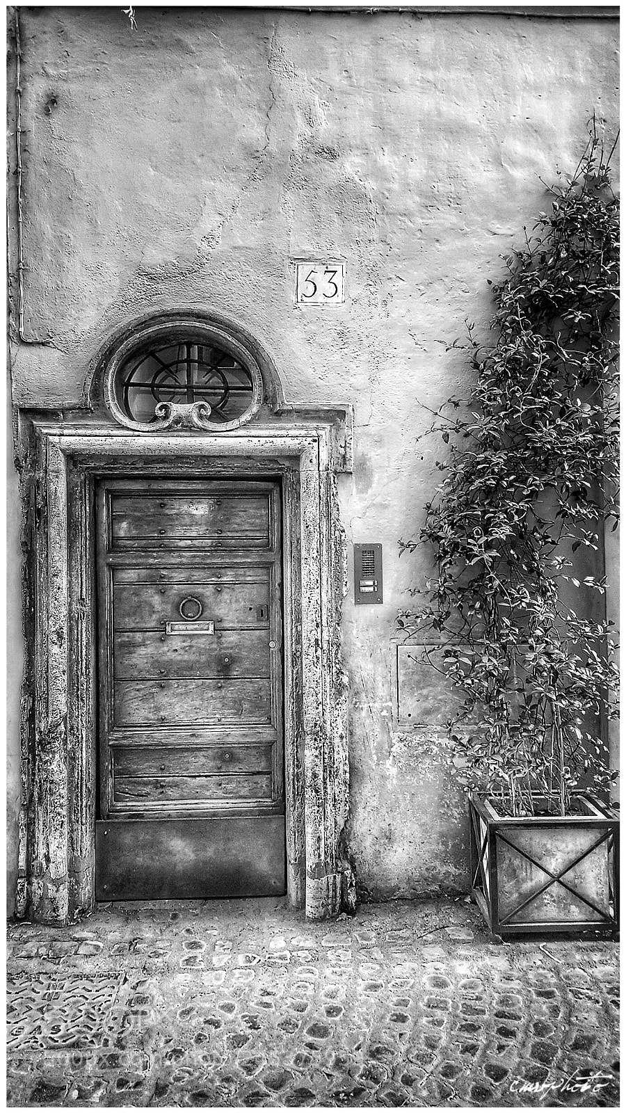 Samsung Galaxy S6 sample photo. Porte e piante 3 photography