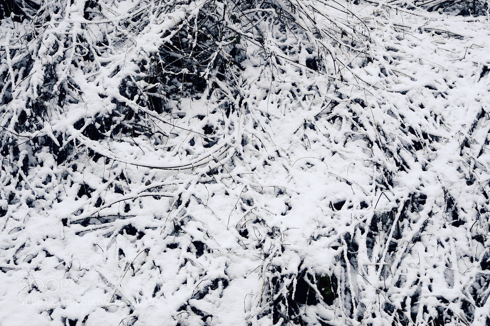 Nikon D7500 sample photo. Ripped apart photography