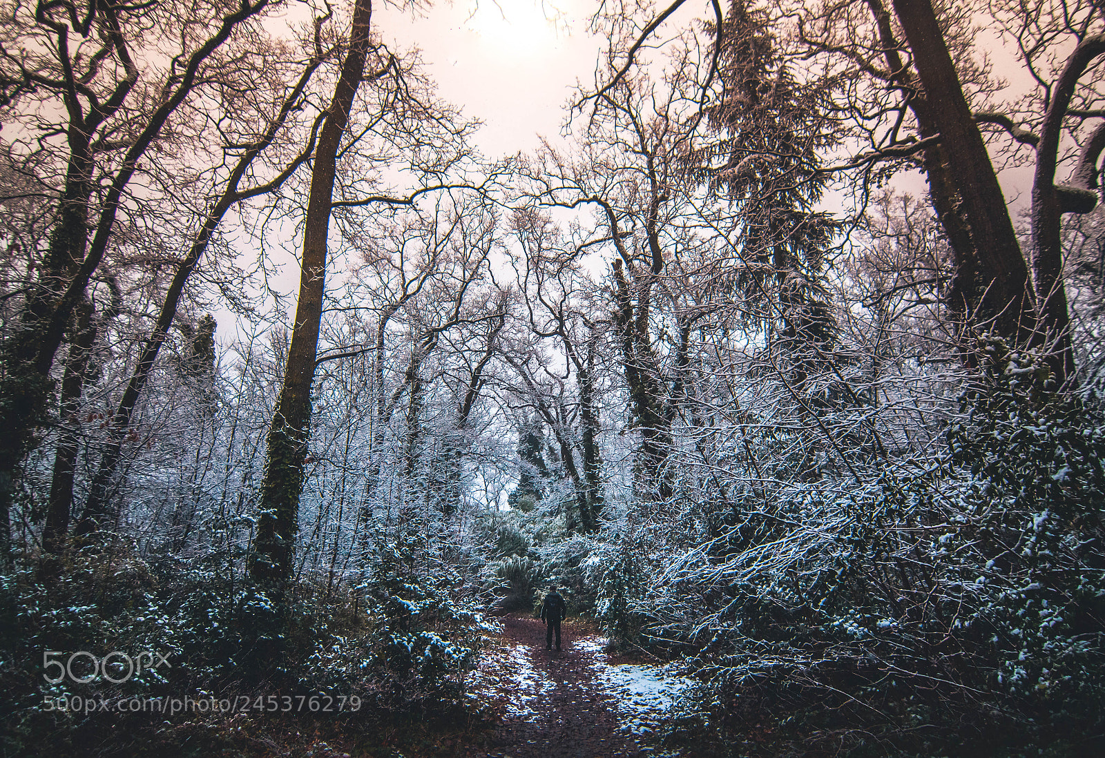 Canon EOS 60D sample photo. Buttes chaumont photography
