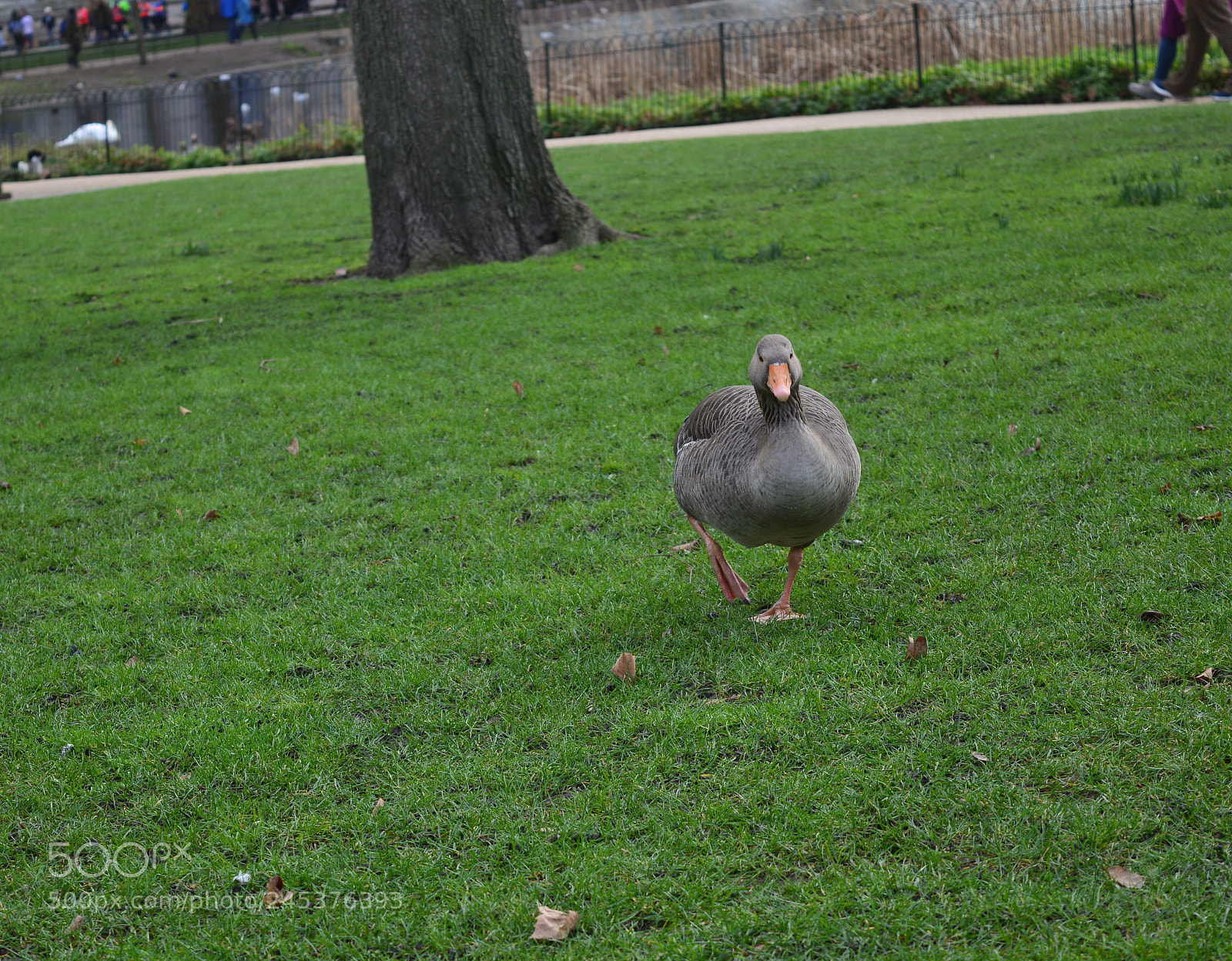 Nikon D3200 sample photo. Untitled photography