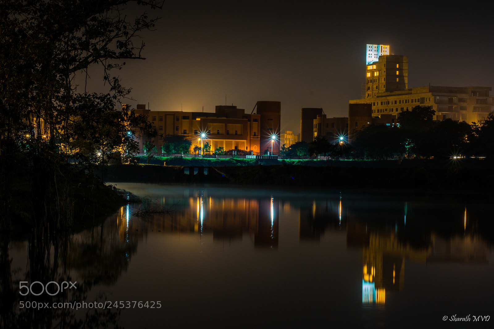 Nikon D5100 sample photo. Dreamy cold winter nights photography