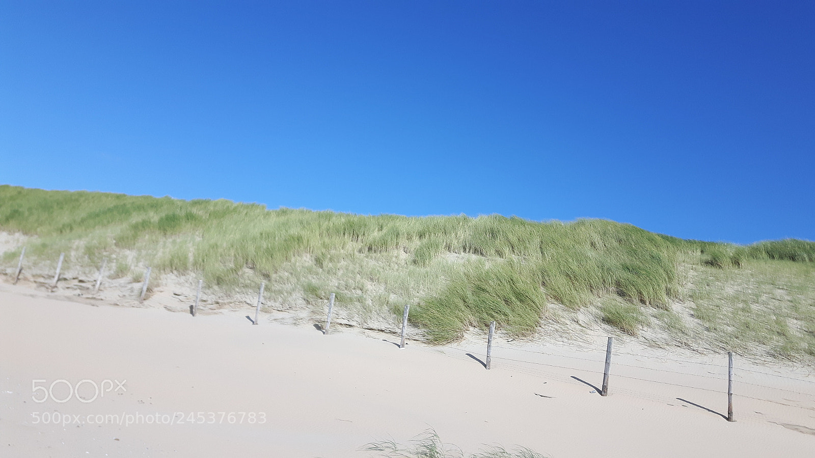 Samsung Galaxy S5 Neo sample photo. Seaside. photography