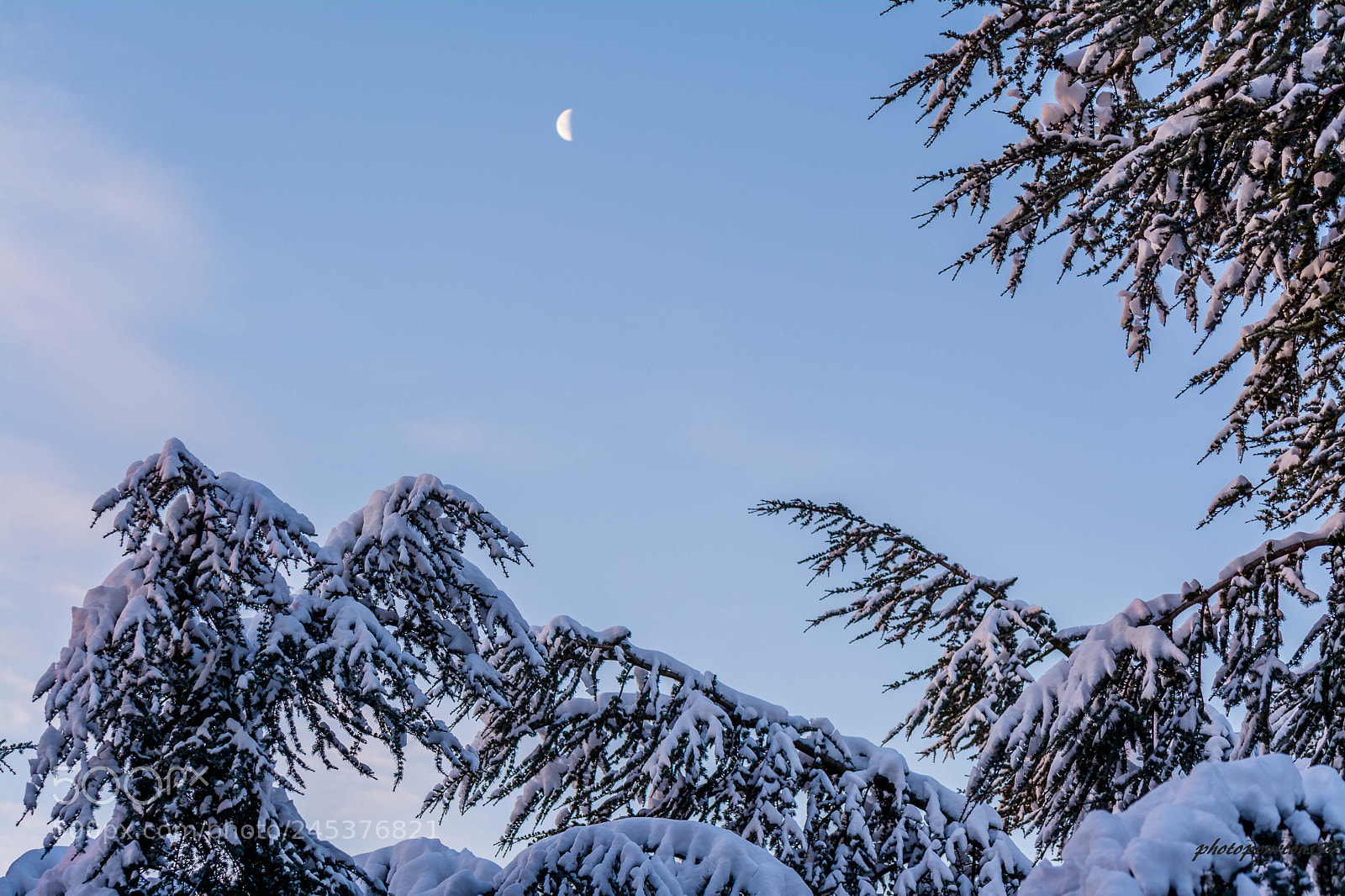 Nikon D7100 sample photo. Neige photography