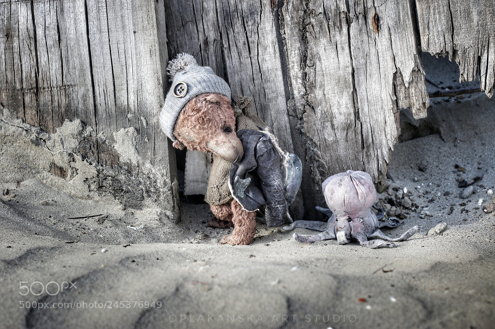 Canon EOS 7D Mark II sample photo. Henry morgan and his photography