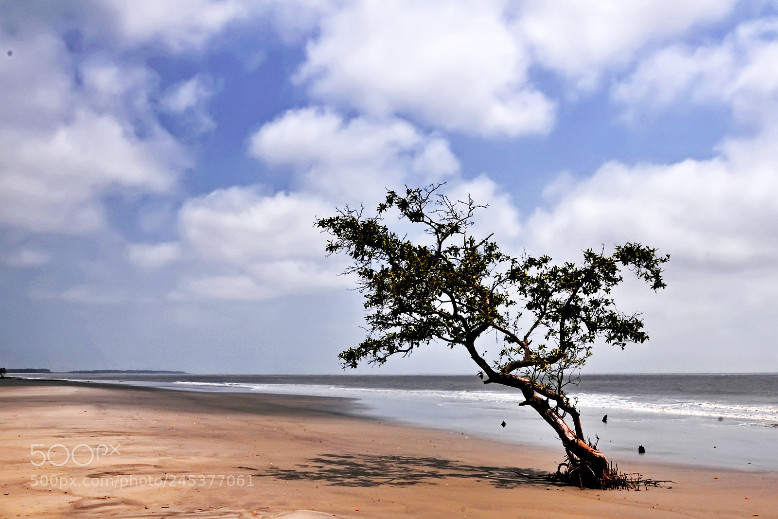 Nikon D90 sample photo. Nature's beauty........ photography