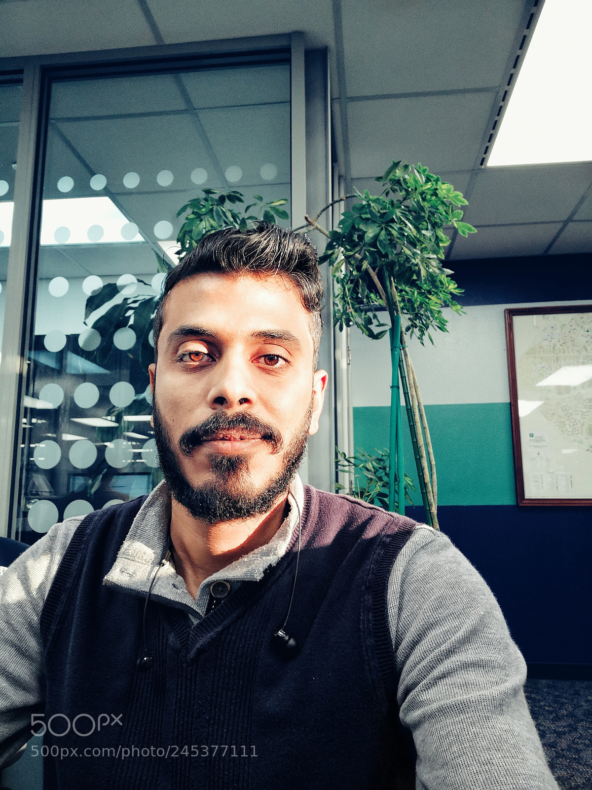 HUAWEI Mate 10 sample photo. Untitled photography