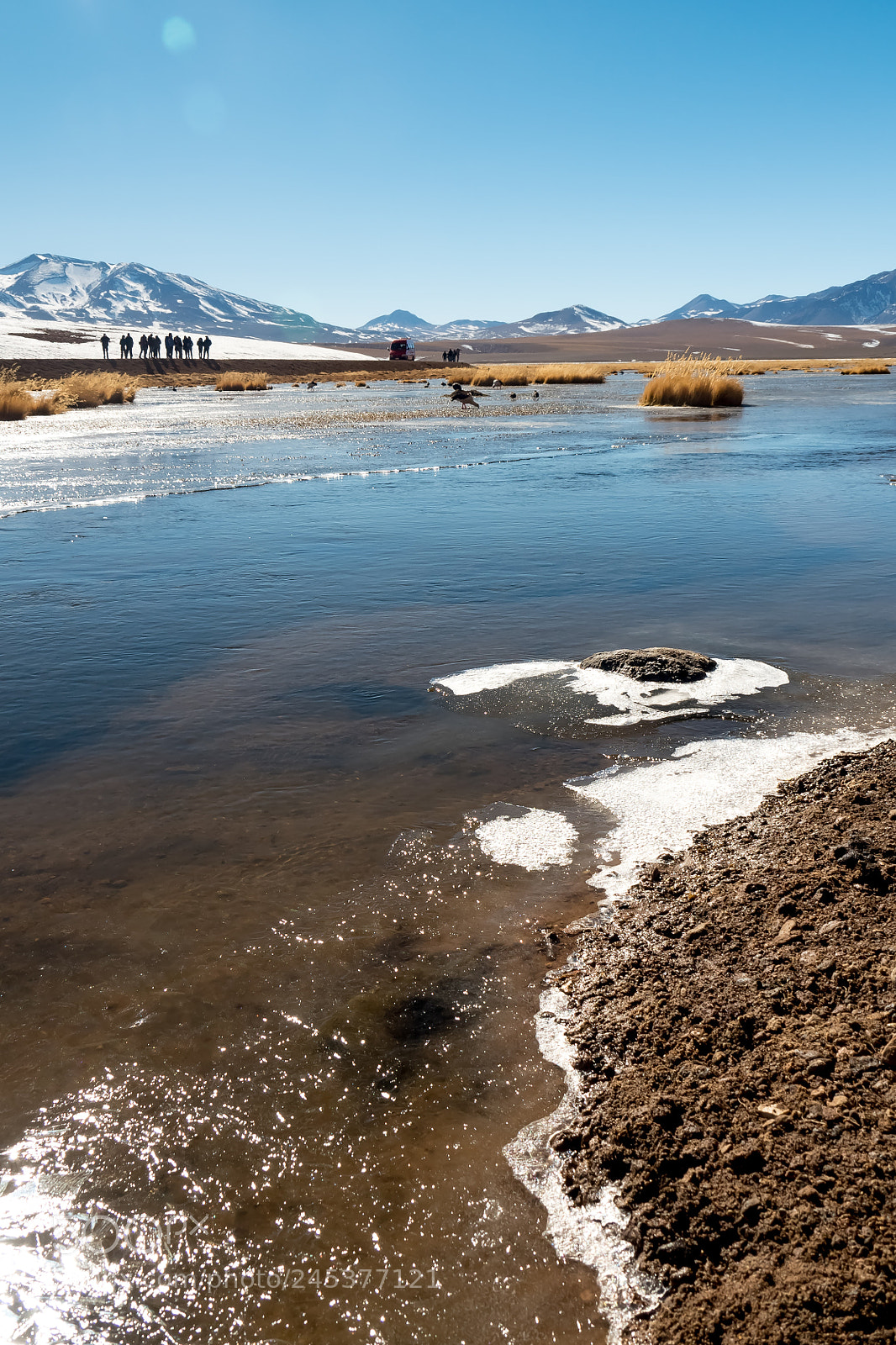 Olympus OM-D E-M5 II sample photo. Andes wetlands photography