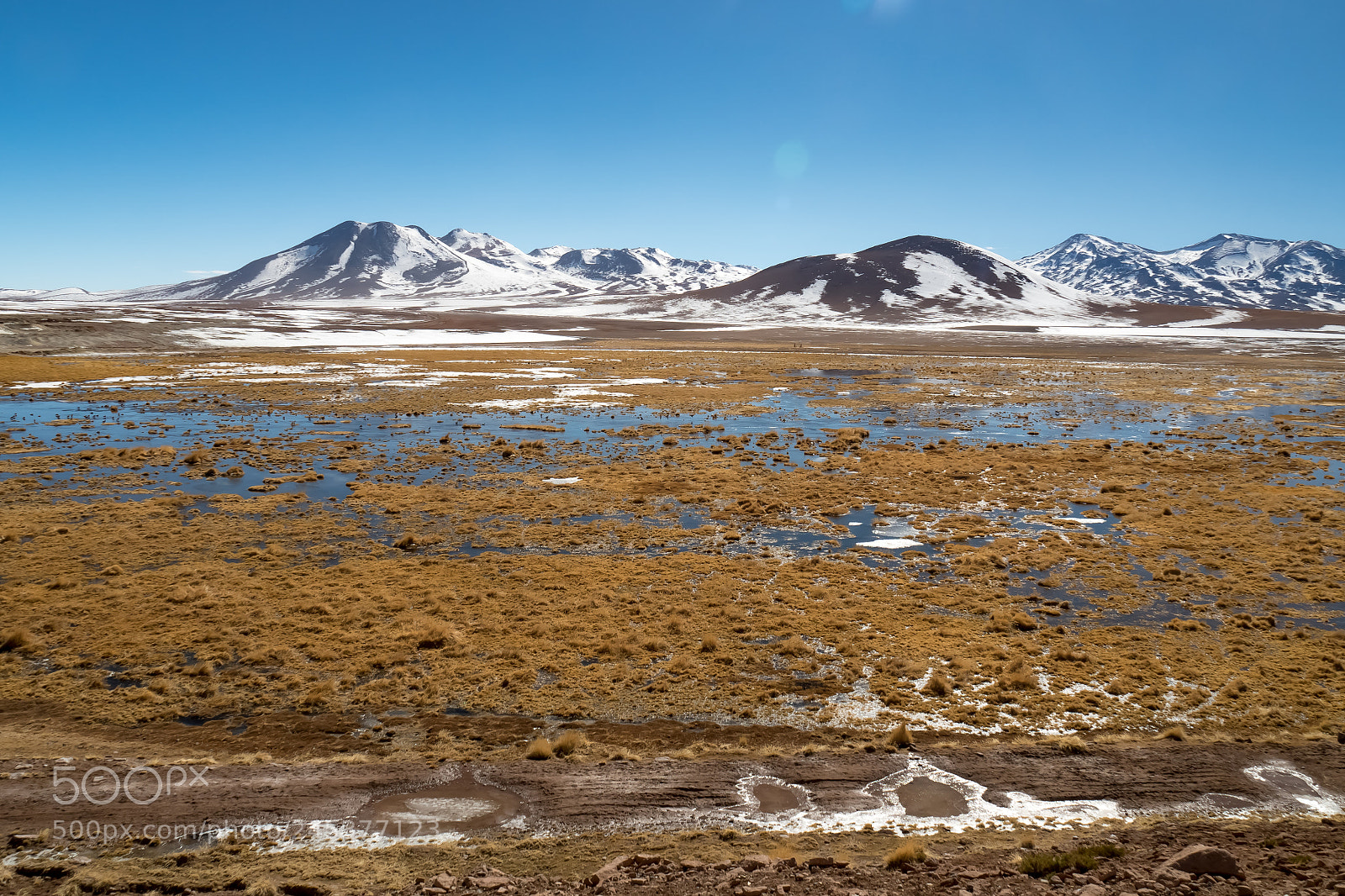 Olympus OM-D E-M5 II sample photo. Andes wetlands photography