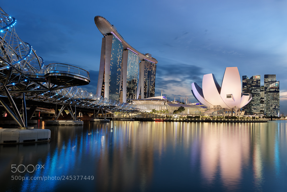 Nikon D810 sample photo. Helix bridge photography