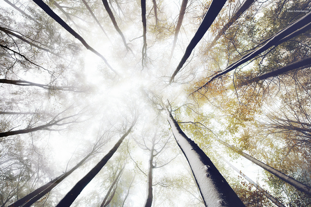 Winter Autumn Mix by Kilian Schönberger on 500px.com