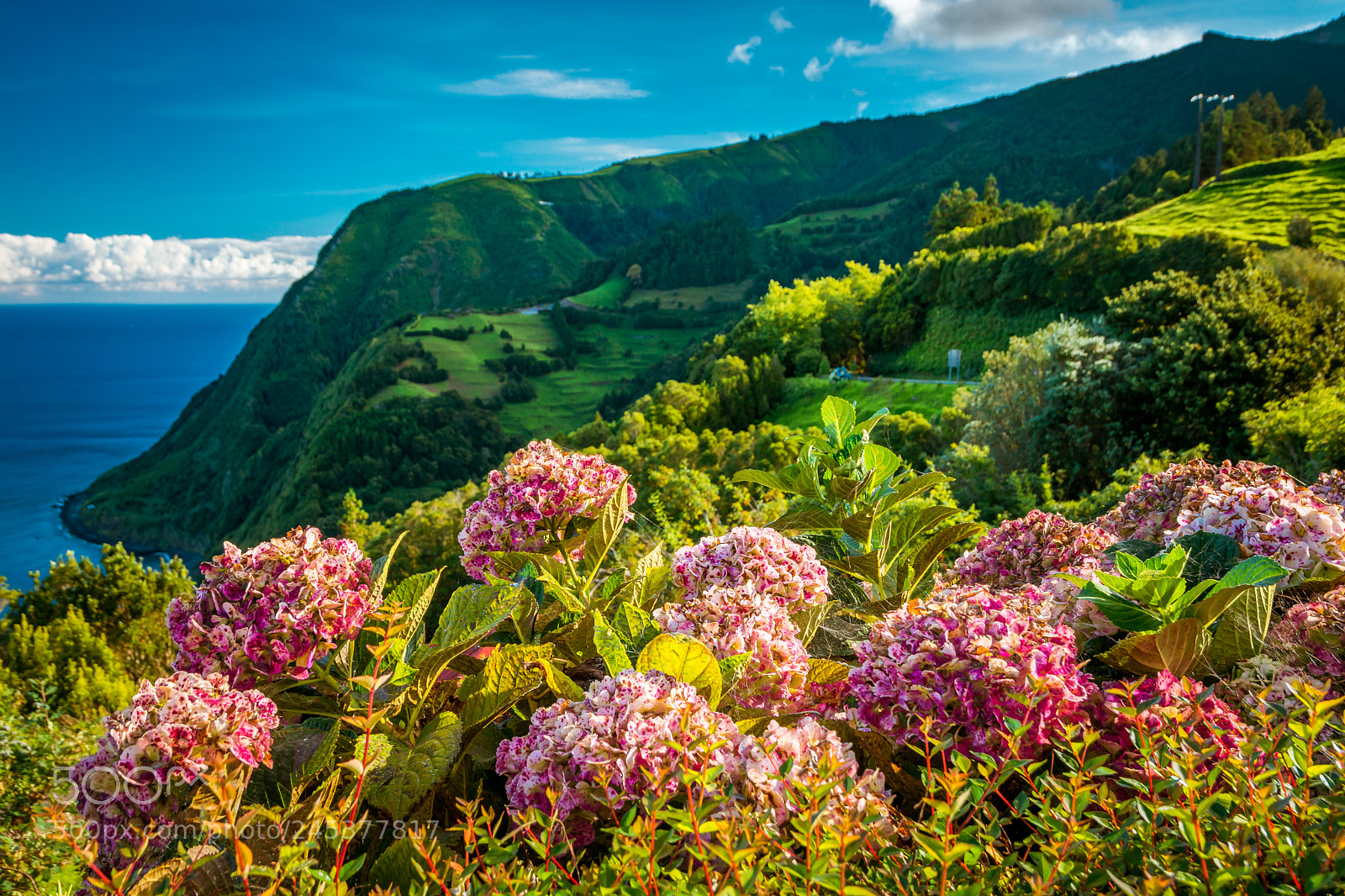 Nikon D7100 sample photo. Azores photography