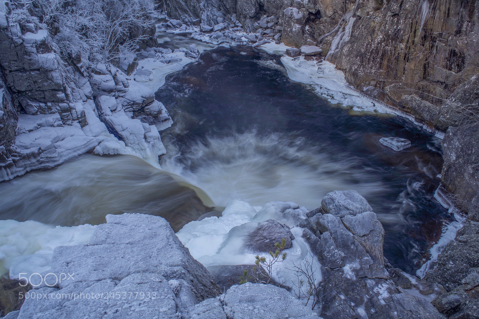 Sony a7 II sample photo. Frozen photography