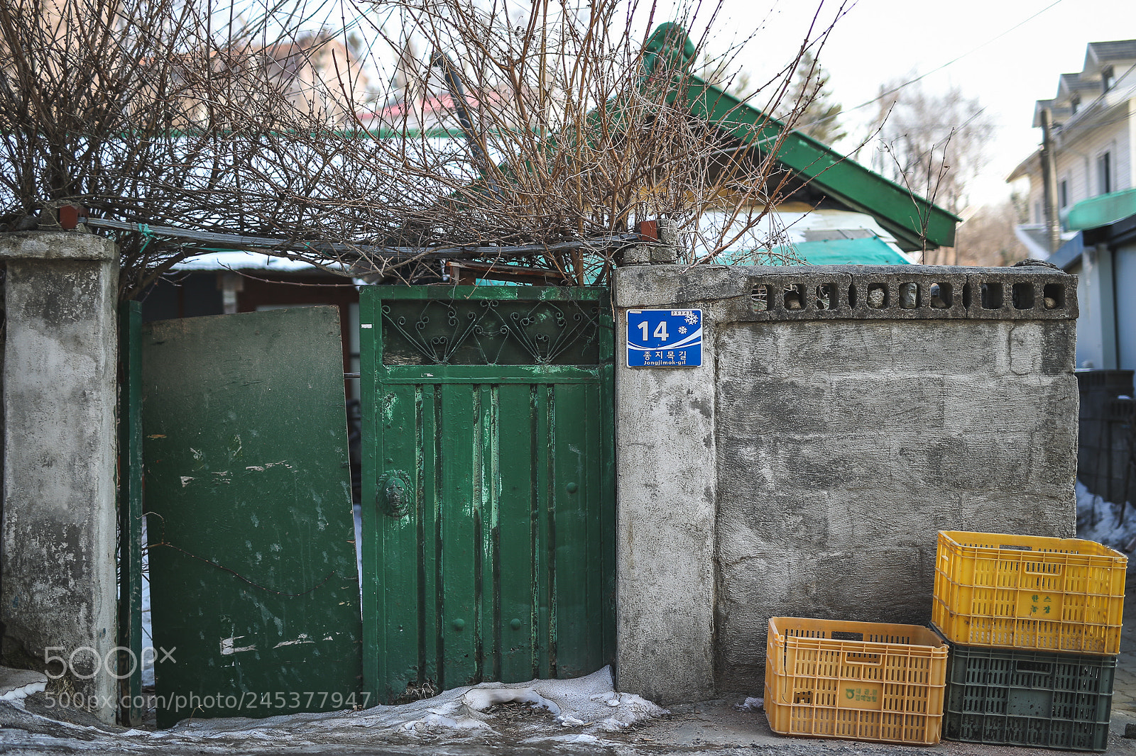 Canon EOS-1D X sample photo. Untitled photography