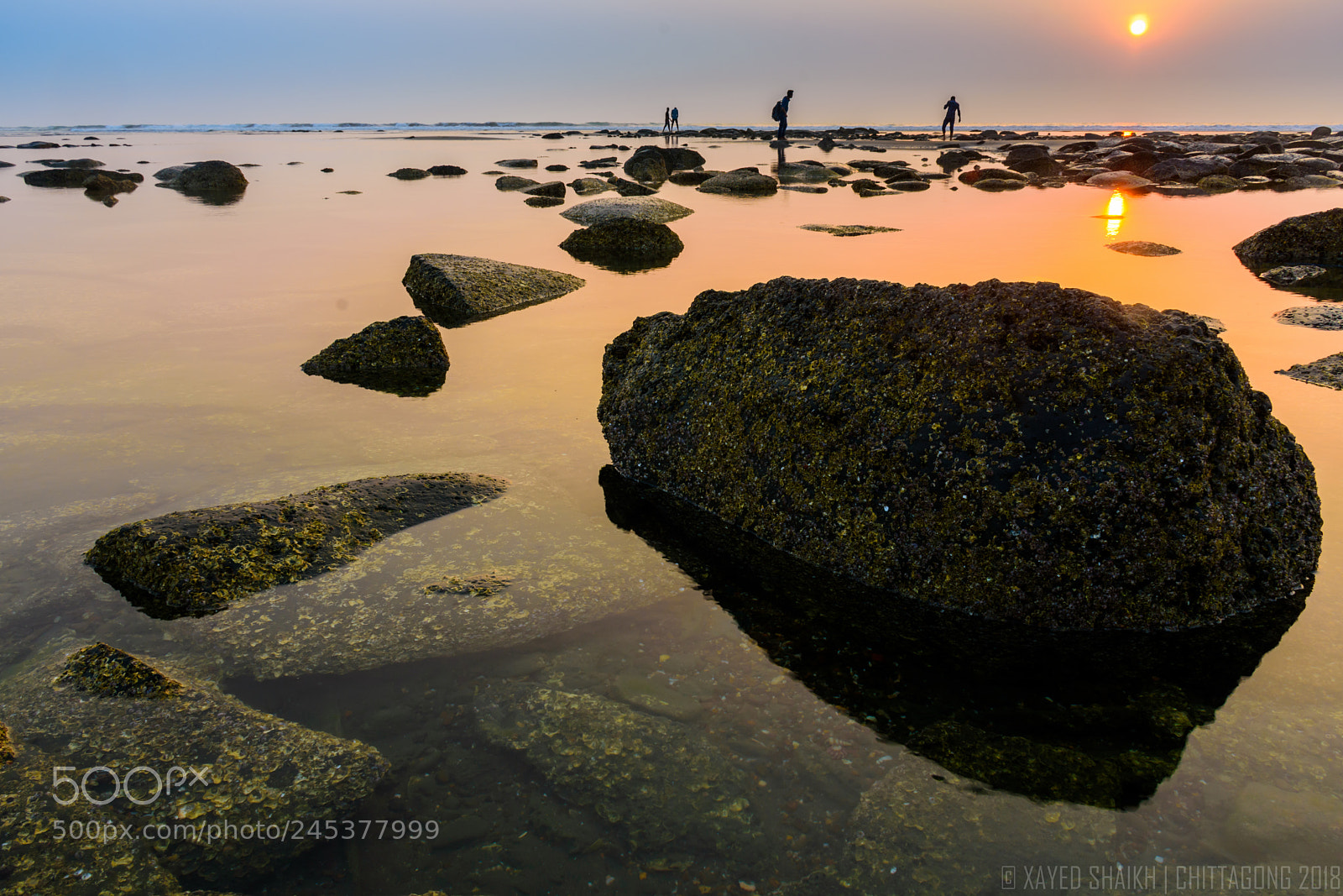 Nikon D7200 sample photo. Living fossil - life photography