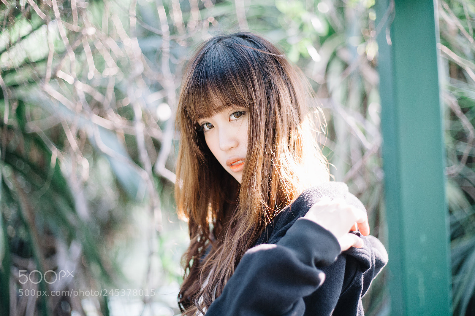 Canon EOS 5D sample photo. Beauty with softly sunshine photography