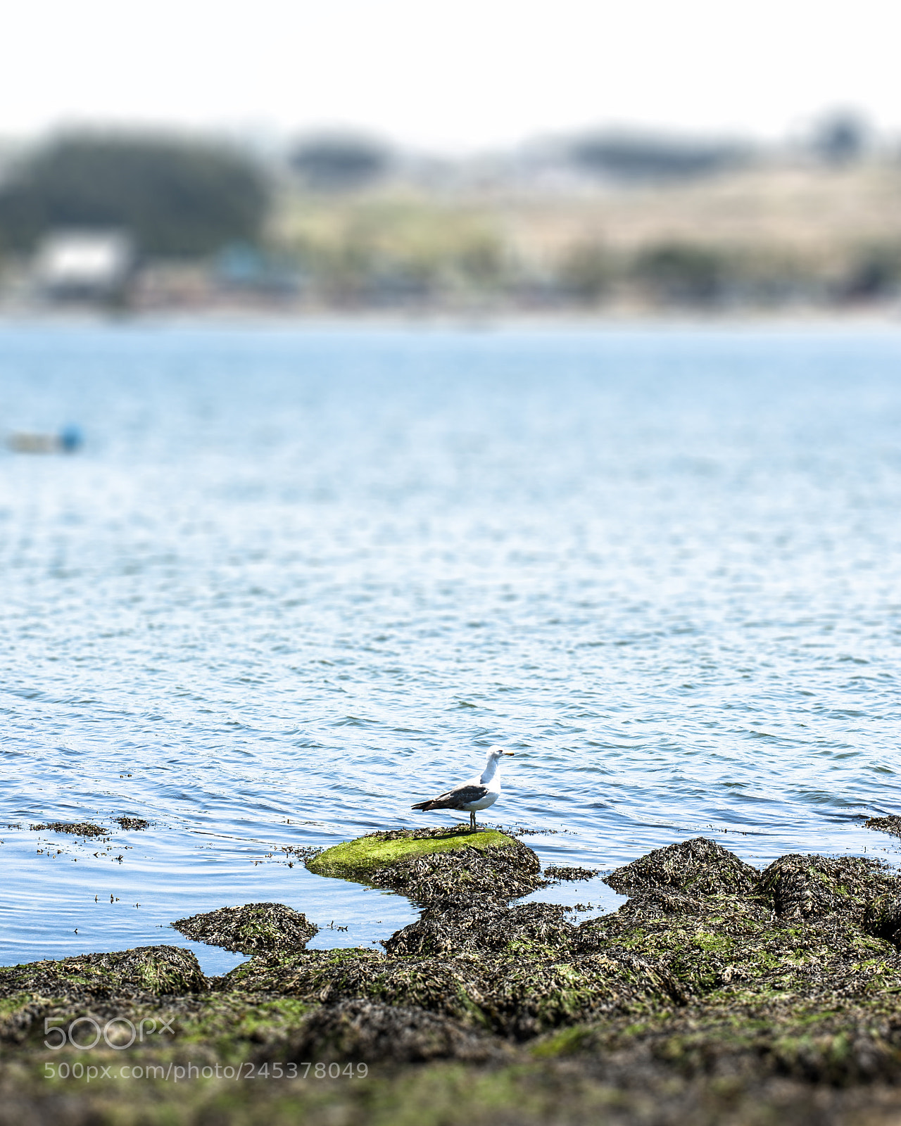 Nikon D700 sample photo. Lonely world photography