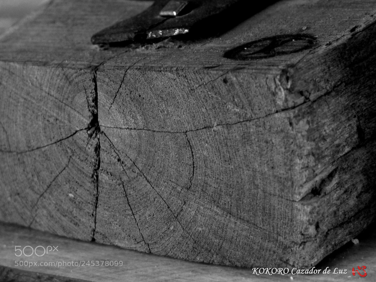 Panasonic Lumix DMC-FZ70 sample photo. Argerich (17)b photography