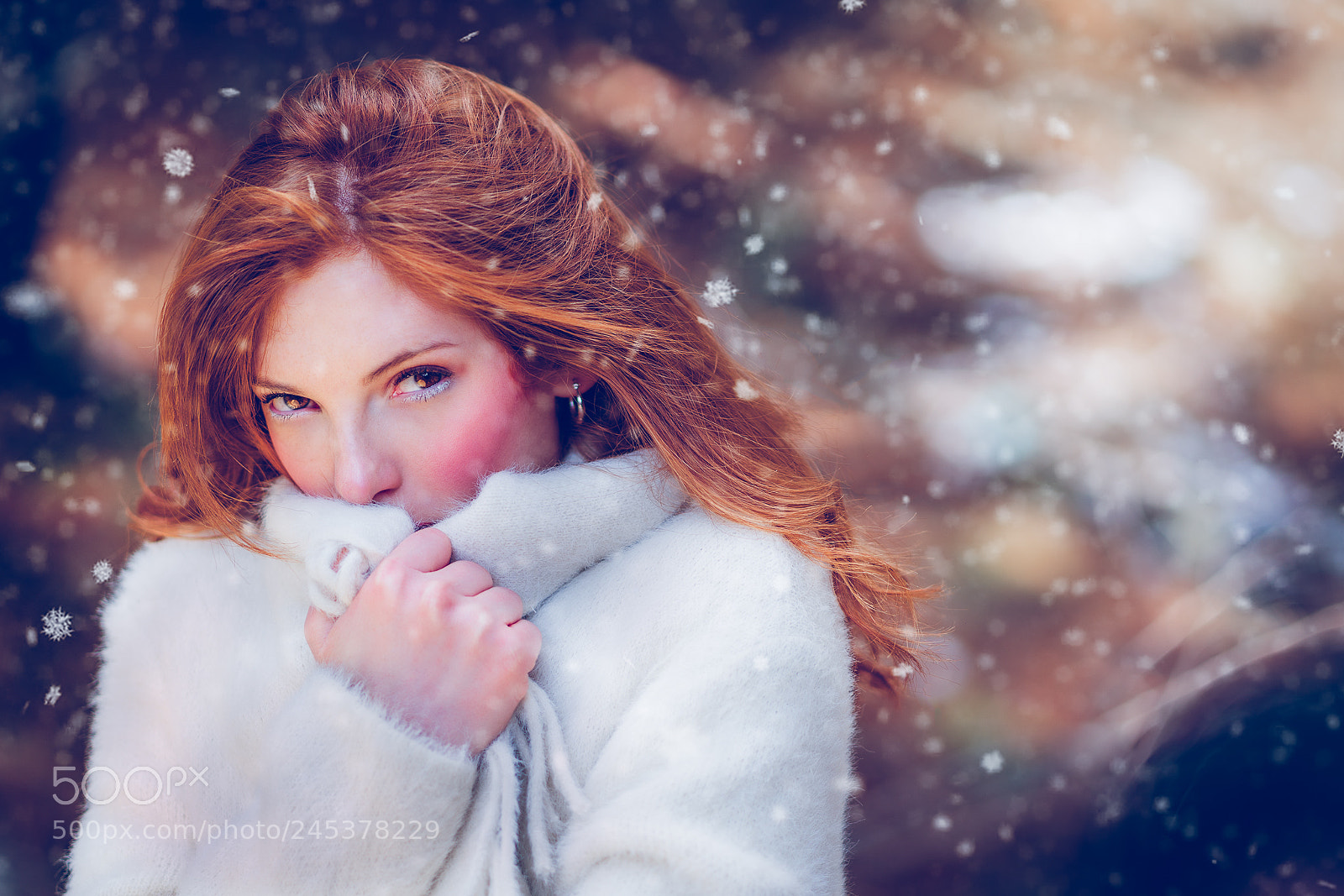 Sony a7R II sample photo. Snow beauty photography