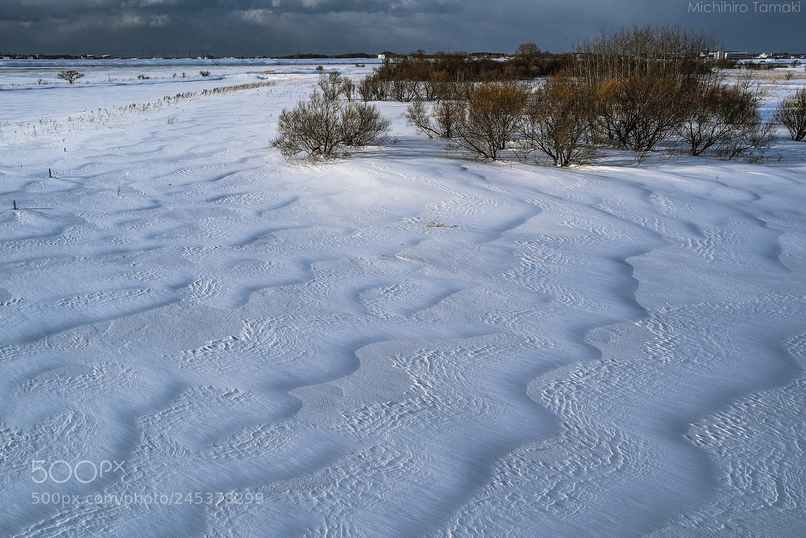 Fujifilm X-E1 sample photo. Windblown field photography