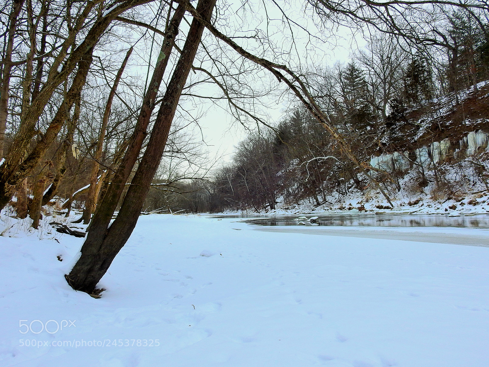 Nikon Coolpix P900 sample photo. Cold day on the photography