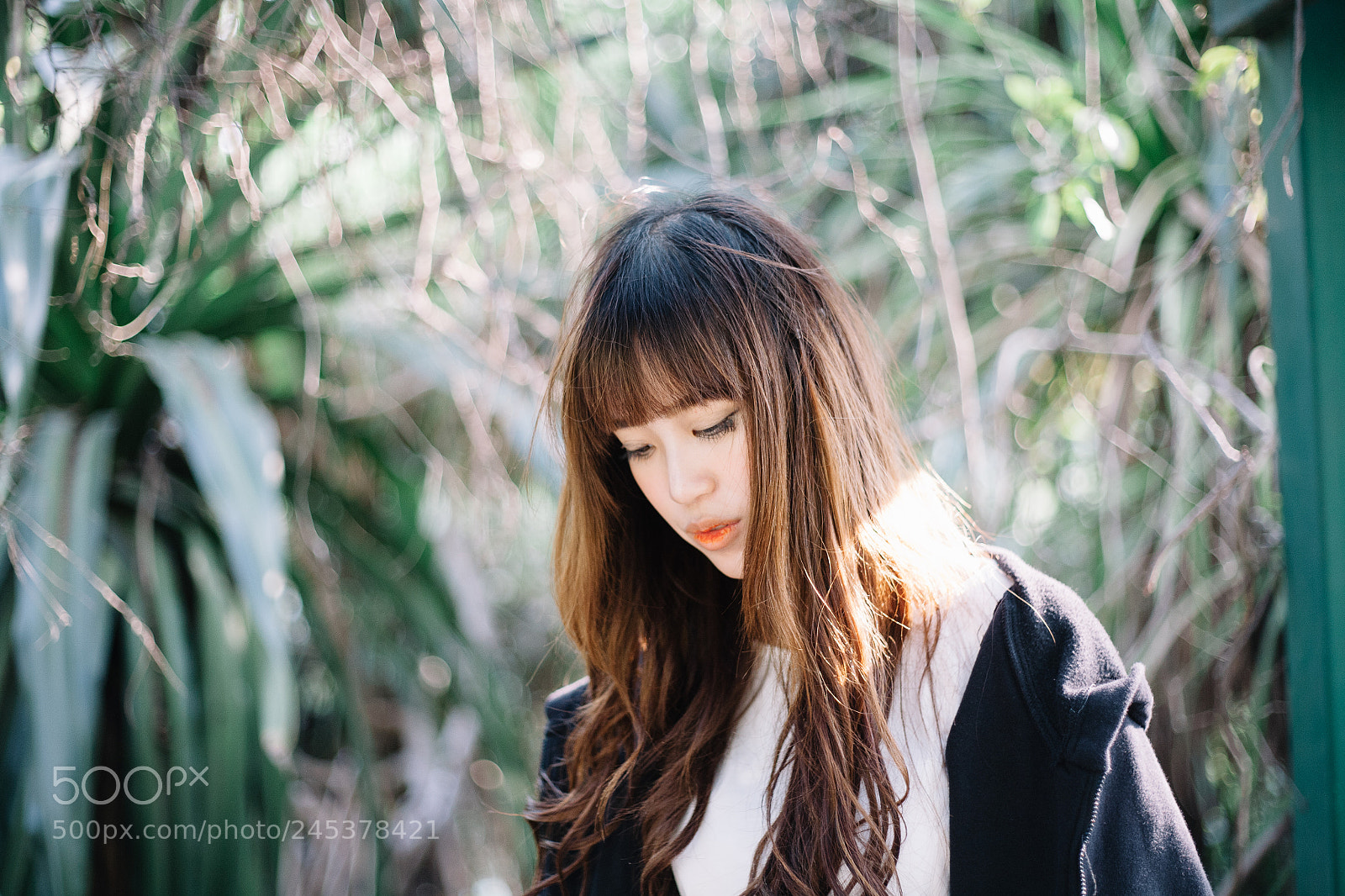 Canon EOS 5D sample photo. Beauty with softly sunshine #2 photography
