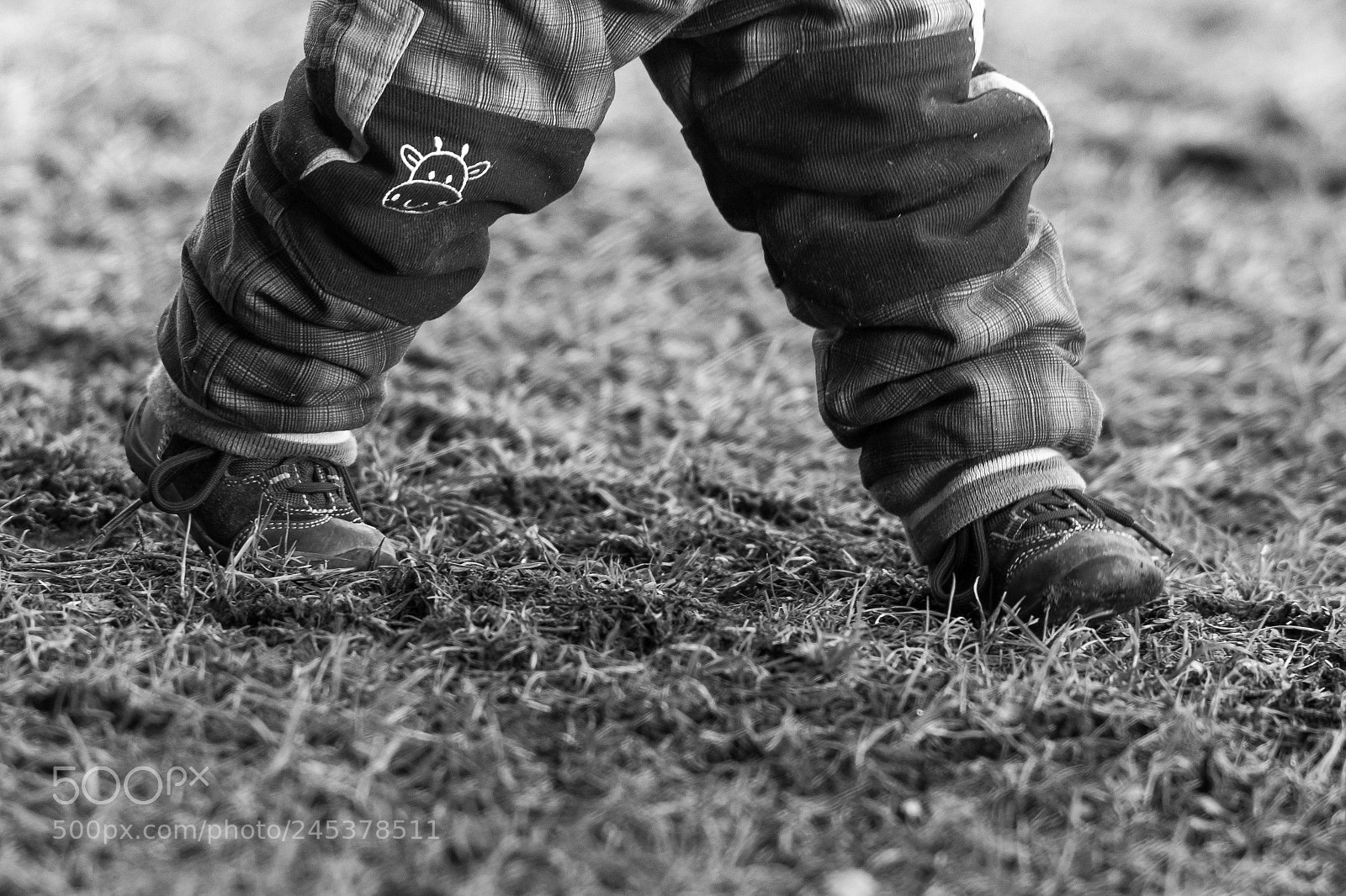 Nikon D7200 sample photo. Shoes photography