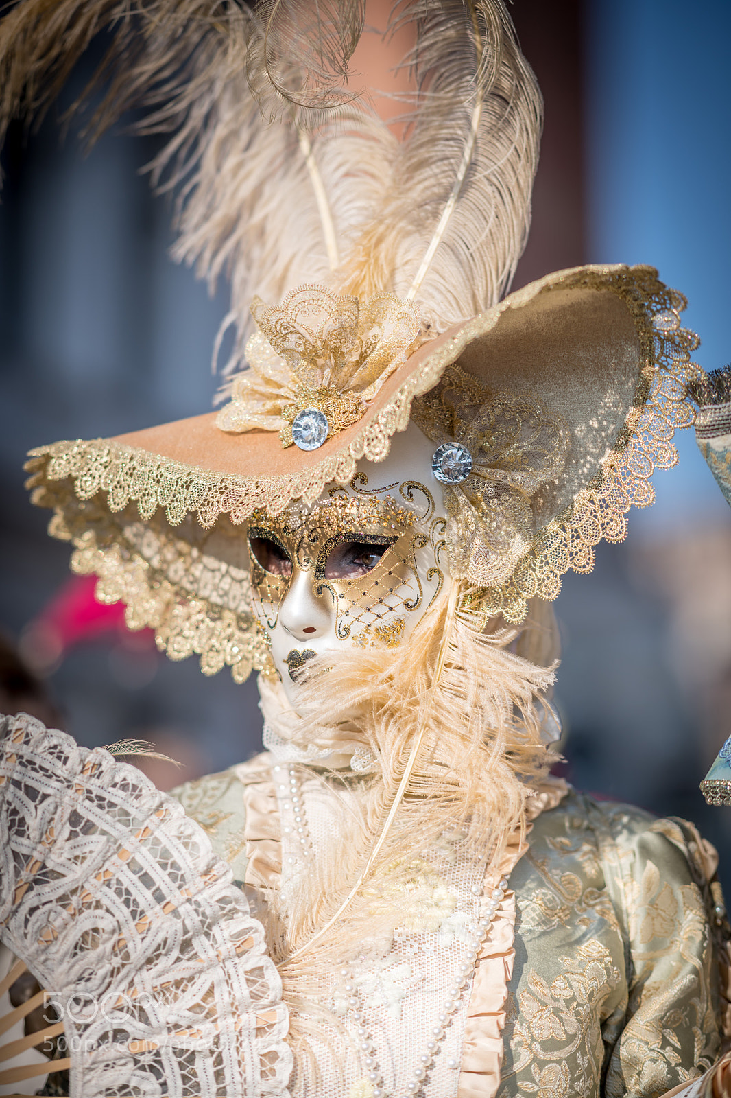 Nikon D850 sample photo. Obr photography