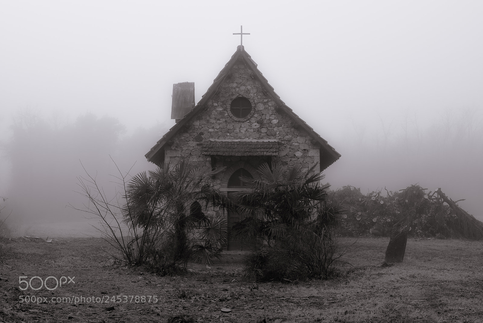 Nikon D810 sample photo. A church lost in photography