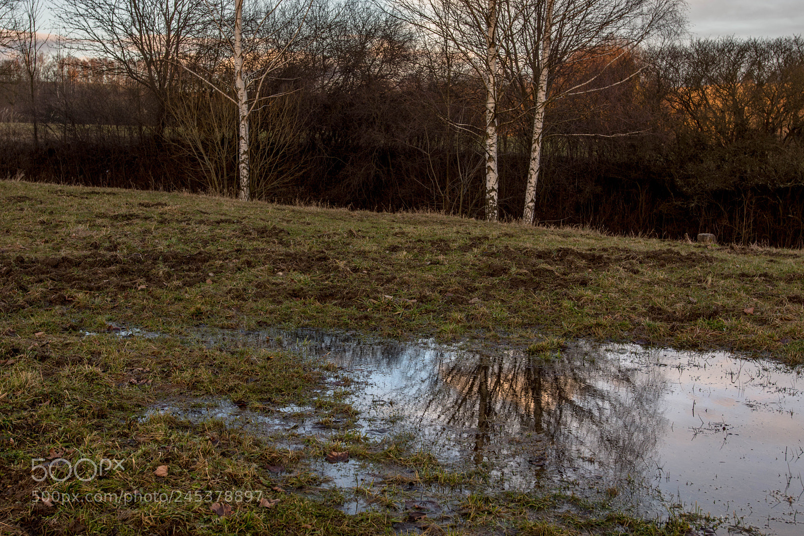 Nikon D7200 sample photo. Untitled photography