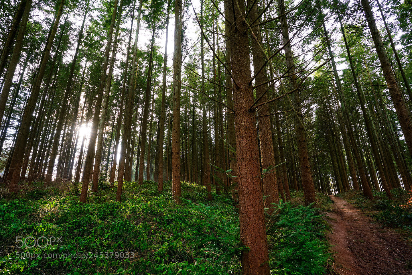 Sony a7R III sample photo. 2 sides photography
