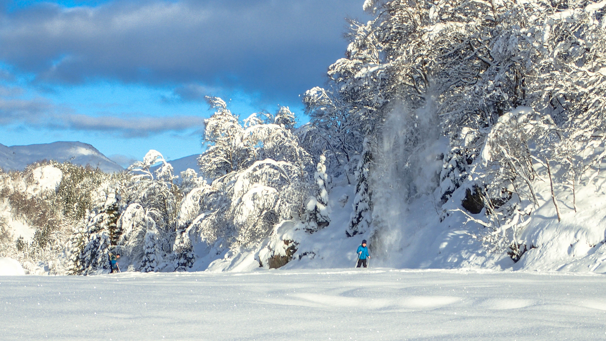 Olympus TG-3 sample photo. The beauty of winter photography