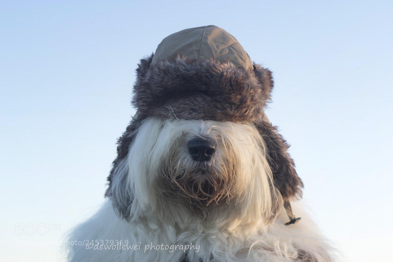 Canon EOS 7D Mark II sample photo. Baby it's cold outside... photography